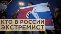 Критика власти – это экстремизм?