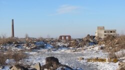 Свалка в Чапаевске Самарской области