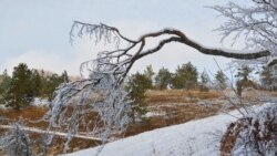 На южных склонах снег растаял