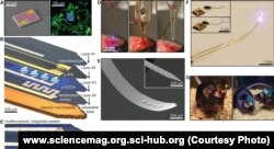 Engineers from the U.S. and Korea presented (http://www.sciencemag.org/content/340/6129/211) in the journal Science, they have developed flat "needle", which are mounted on the surface of tiny LEDs and sensors