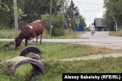 Деревня Броди в Новгородской области