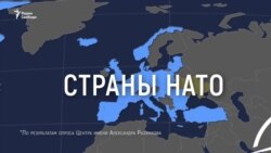 Украина и НАТО: ожидания и реальность