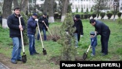 Субботникал чIалгIине байбихьун руго махIачхъалаялъулазда